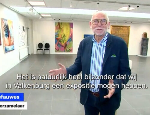 Collectie Defauwes gemist?