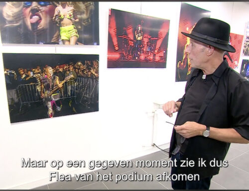 Bekijk de exposities van Heuts, Leenen, Wolfs & Spauwen terug