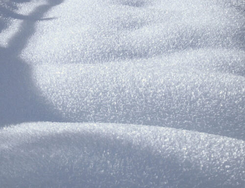 Museum vandaag gesloten i.v.m. sneeuw