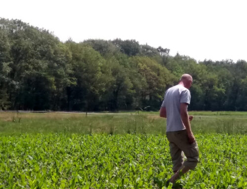 Ga mee op pad met de archeoloog op zoek naar sporen van het verleden